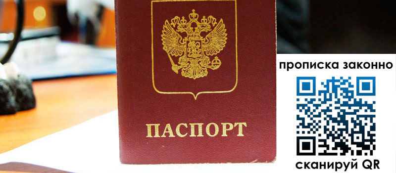 прописка в Кольчугино